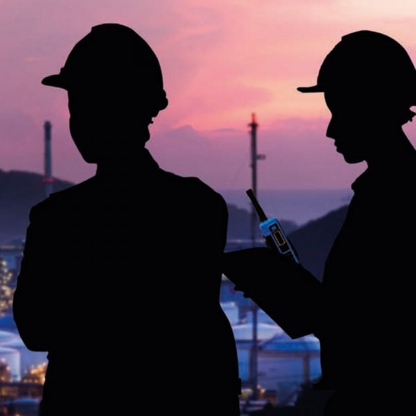 Entel DT953 ATEX PMR446 met beeldscherm work