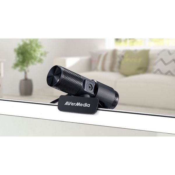 Aver Live Streamer 313 USB