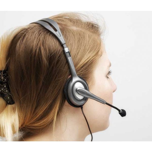 Logitech H111 headset