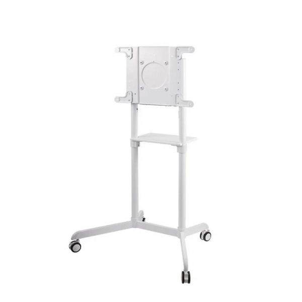 Samsung Flip 4 65'' + support Neomounts 
