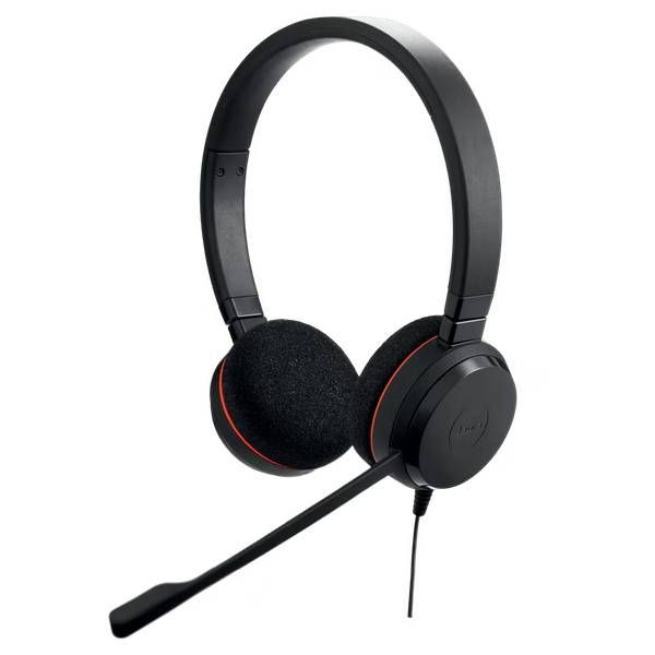 Jabra Evolve 20 USB-C MS - Duo