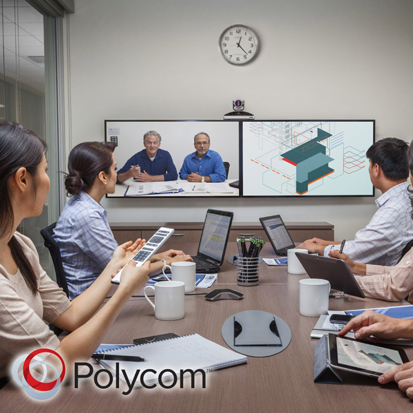 RealPresence Group 310